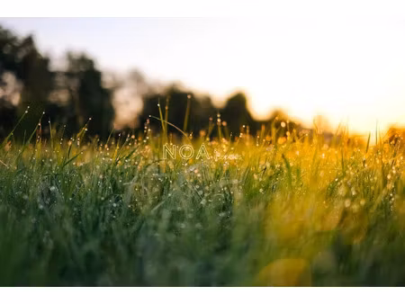 vente terrain à batir 648 m² à lanton (33138)  260 000 €