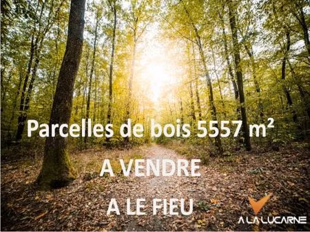 vente terrain le fieu 33230 - 6000 € - surface privée