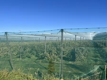 vente terrain 5 pièces