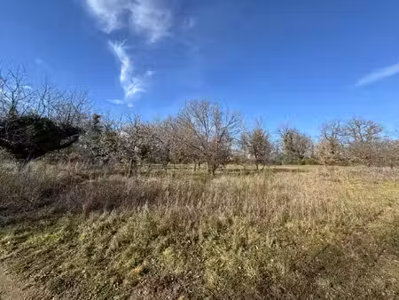 terrain a bâtir roiffieux