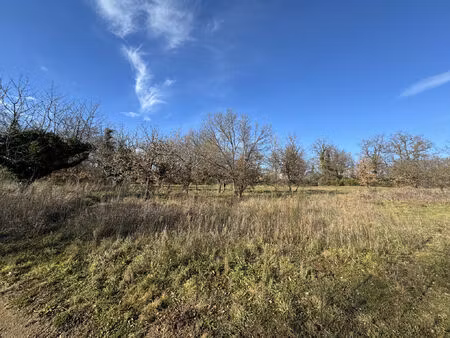 vente terrain 912 m² roiffieux (07100)