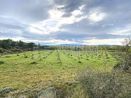 terrain agricole