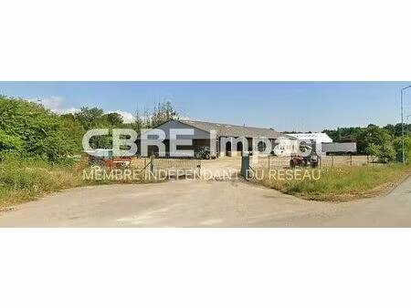 location terrain chevigny-saint-sauveur 7 400 m²