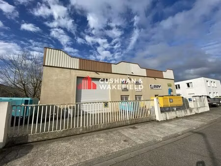 local d'activite à louer