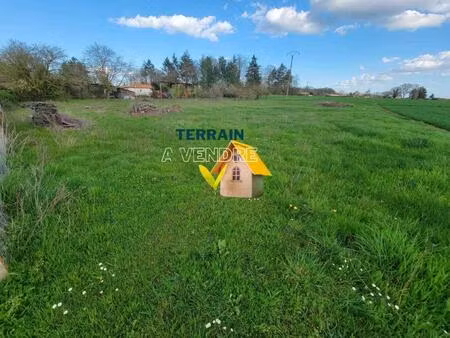 terrain constructible