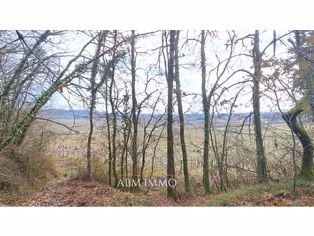 terrain de 2 500 m² avec vue sur la vallée de la dordogne
