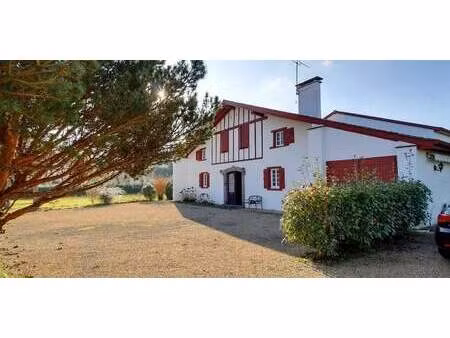 maison avec piscine et jardin itxassou (64)