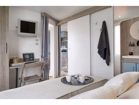 vente chalet 3/4 pièces 31 m² à avon-les-roches (37220)  14 899 €