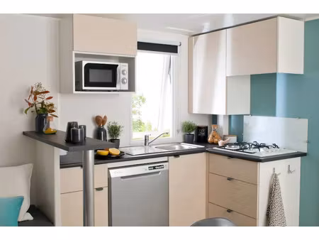 vente chalet 4/5 pièces 38 m² à nans-les-pins (83860)  25 879 €