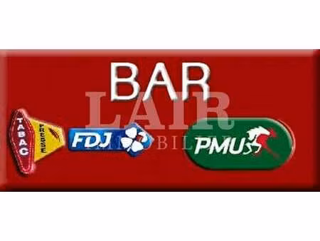 vente bureaux et commerces à sillé-le-guillaume (72140) : à vendre / 240m² sillé-le-guilla