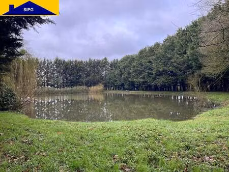 vente terrain à saint-poix (53540) : à vendre / 10900m² saint-poix