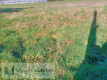 terrain val d anast 410 m2