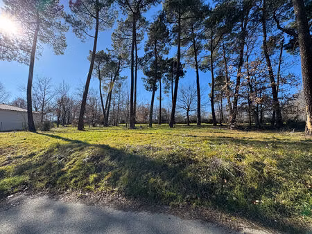 a vendre proche auterive: terrain de 973 m2 viabilise  libre de tous constructeurs