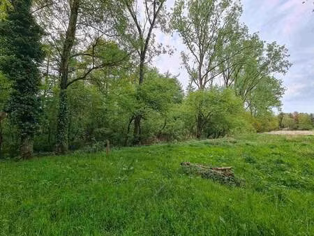 terrain à vendre à eksel € 10.000 (l3bwv) - engel & völkers noord-limburg | zimmo