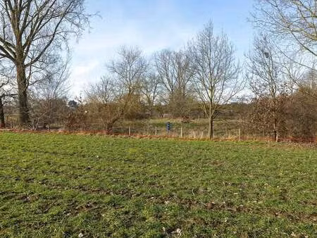 terrain à vendre à zichem € 35.000 (l3c7a) - meuris  claes & de cock | zimmo