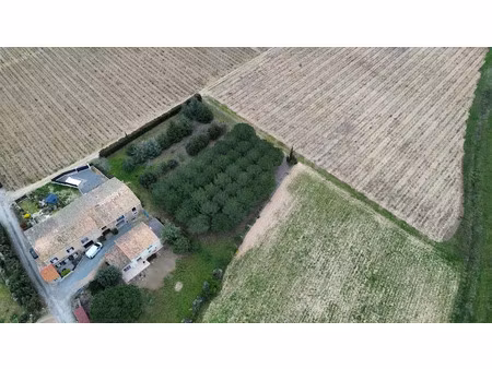 vente maison 4 pièces 105 m² à laure-minervois (11800)  237 000 €