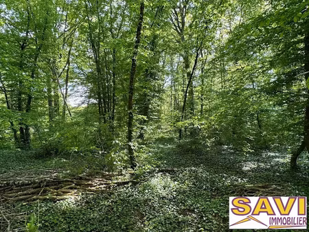 vente terrain à batir à foucherolles (45320)  33 000 €