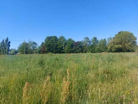 vente terrain à plouhinec (56680) : à vendre / 692m² plouhinec