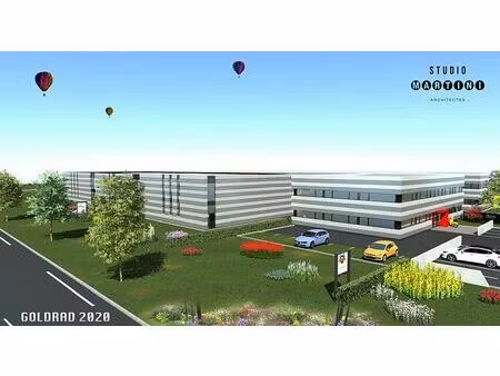 vente bureau sainte-croix-en-plaine 242 m²