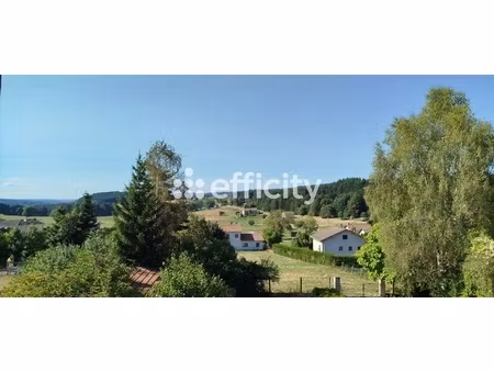 maison 10 pièces - 240 m²