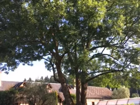 vente maison 6 pièces 180 m² à morée (41160)  299 900 €