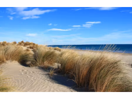 villa beluga t5 - 106 62m2 face a la plage et jardin 38m2