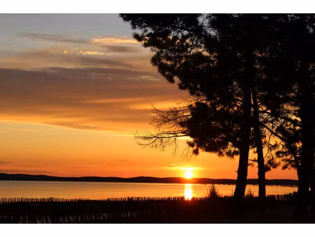 vente local commercial