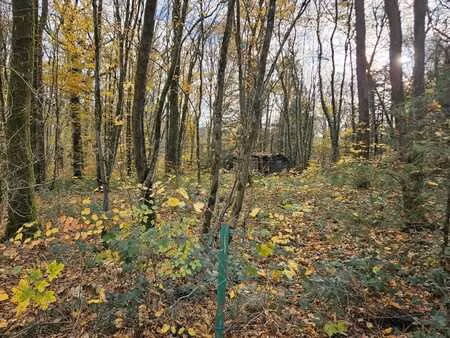 terrain à bâtir dans la belle cerfontaine