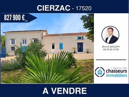 maison de luxe de 11 pièces en vente à cierzac  france