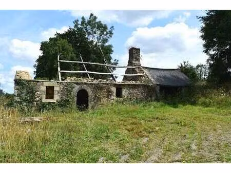 vente maison à scrignac (29640) : à vendre / scrignac