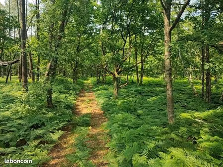 terrain 100480 m² loye sur arnon