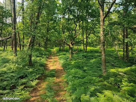 terrain 100480 m² loye sur arnon