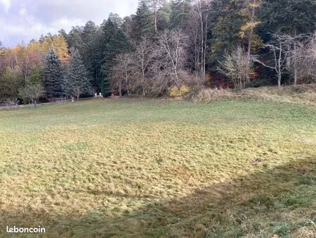 terrain 1291 m² wangenbourg-engenthal