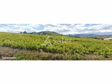 terrain 36097 m² saint-lager