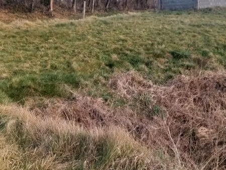 terrain a construire