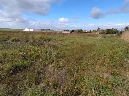 terrain 2 318 m² thibie