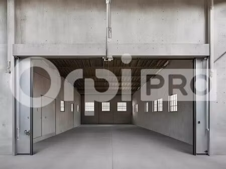 local d'activité 274 m²