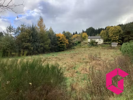 terrain à vendre le chambon-sur-lignon