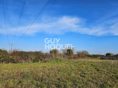 terrain mouzeuil saint martin