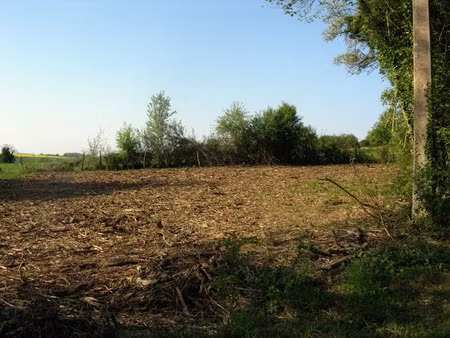 vente terrain 1402 m² à foissy-lès-vézelay (89450)  5 500 €