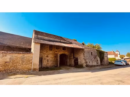 vente locaux professionnels 120 m² à tharot (89200)  50 000 €