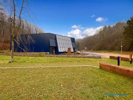 location commerce 3 pièces 370 m² à niederbronn-les-bains (67110)