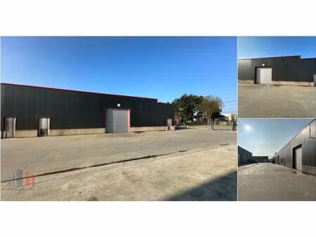 surface industrielle à louer à oudenaardestraat 84 vichte (rbs62604)