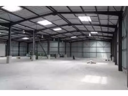 local d'activite a louer