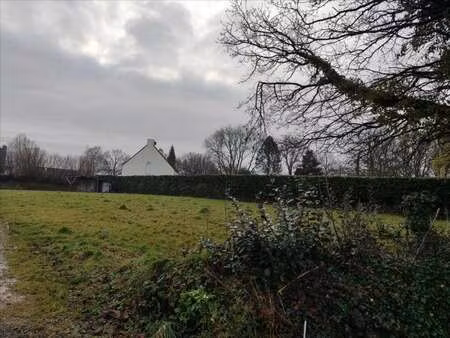 vente terrain à la haye (50250) : à vendre / la haye