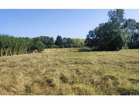 terrain gémozac m² t- à vendre  36 475 €