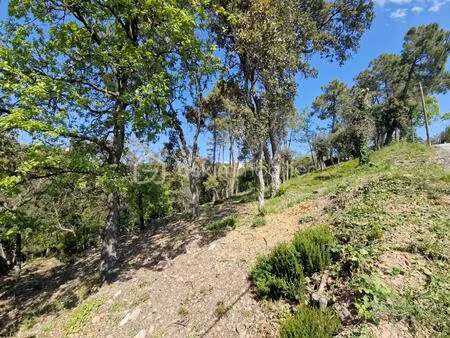 terrain de 5 909 m² à les adrets-de-l'esterel