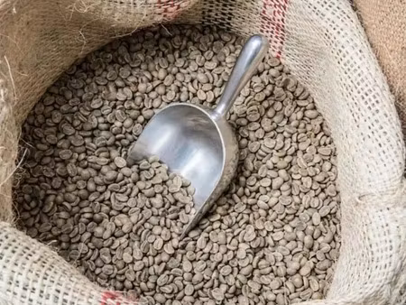 vente locaux professionnels 60 m² à rivedoux-plage (17940)  297 000 €