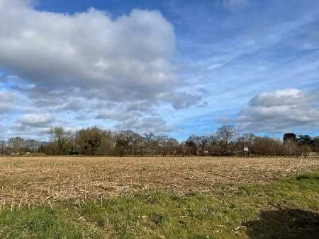 vente terrain à plélo (22170) : à vendre / plélo