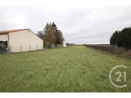 terrain à vendre - 1926 m2 - le mayet d ecole - 03 - auvergne